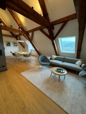 Luxus-Penthouse in Heidelberg